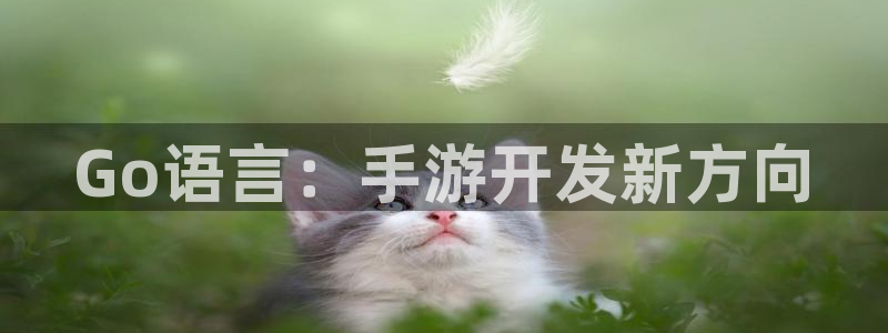 28大神加拿大开奖历史预测：Go语言：手游开发新方向