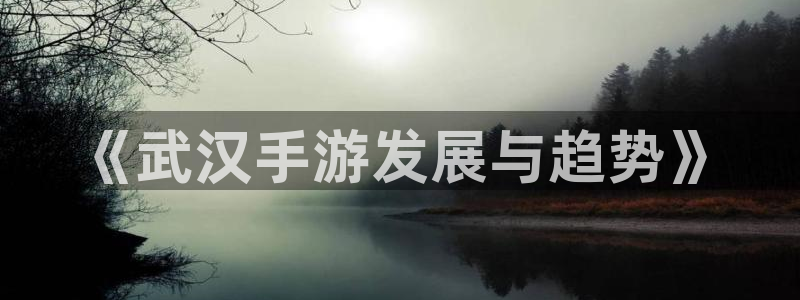 雷火电竞开奖预测网站刘伯温：《武汉手游发展与趋势》