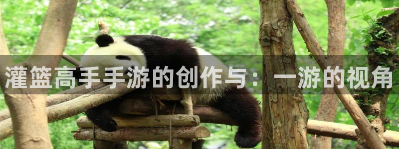 28大神结果查询：灌篮高手手游的创作与：一游的视角