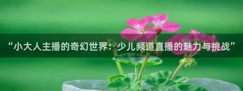 833足球直播：“小大人主播的奇幻世界：少儿频道直播的魅力与挑战”