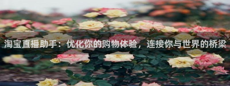 833直播体育免费观看入口：淘宝直播助手：优化你的购物体验，连接你与世界的桥梁