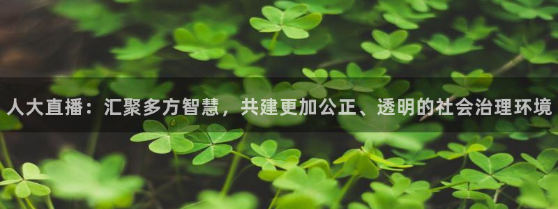 833足球直播免费直播：人大直播：汇聚多方智慧，共建更加公正、透明的社会治理环境