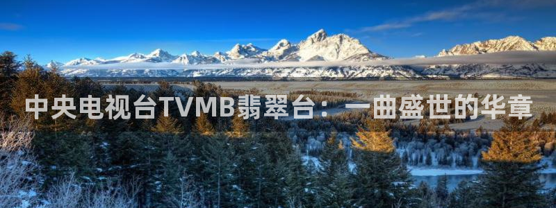 833体育免费直播入口：中央电视台TVMB翡翠台：一曲盛世的华章