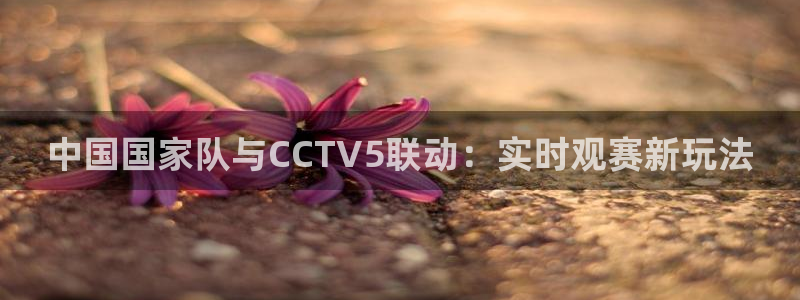 833直播篮球比赛在线观看：中国国家队与CCTV5联动：实时观赛新玩法