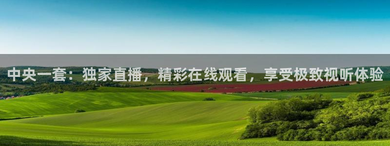 833直播篮球比赛在线观看：中央一套：独家直播，精彩在线观看，享受极致视听体验
