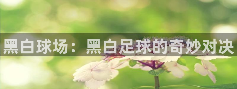 833足球直播比赛在线观看：黑白球场：黑白足球的奇妙对决