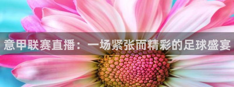 833足球比赛免费直播：意甲联赛直播：一场紧张而精彩的足球盛宴