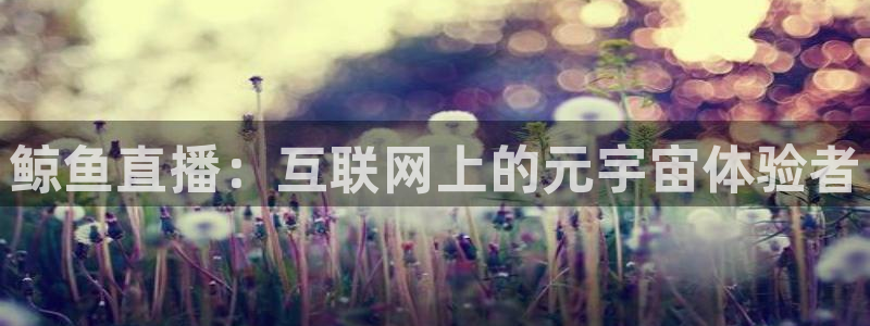 833体育在线直：鲸鱼直播：互联网上的元宇宙体验者