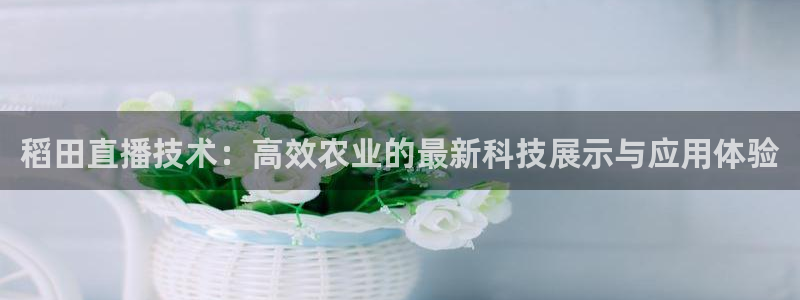 833直播体育免费观看入口：稻田直播技术：高效农业的最新科技展示与应用体验