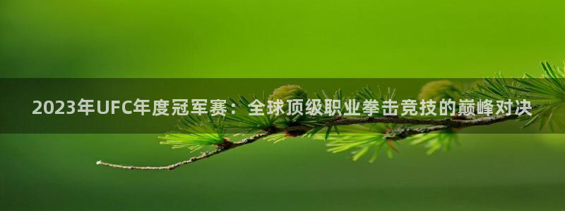 833体育在线直播在线看：2023年UFC年度冠军赛：全球顶级职业拳击竞技的巅峰对决